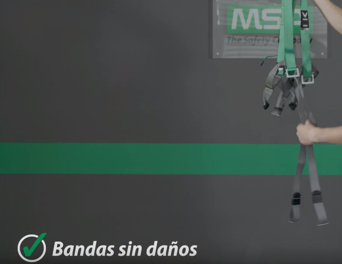 Comprobar bandas sin daños  para arnes stihl